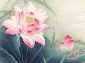 谨慎!婬欲心太重,腿就会得这种病,求生求死,了不可得!非常惨痛!