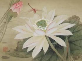 改造命运要义--人生必读