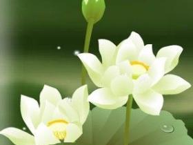 突破戒色瓶颈的心路历程
