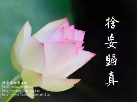 一个渣男的别样人生