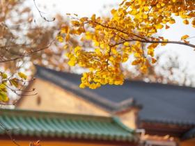我学佛后的真实经历:从穷人变为富人