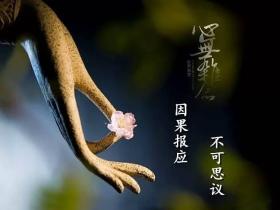 一个真实的故事:我的爷爷行善积德改命的真实经历