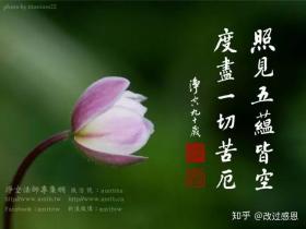 逾万华人聚首香港祭祖 呼吁将清明节定为全球戒淫日