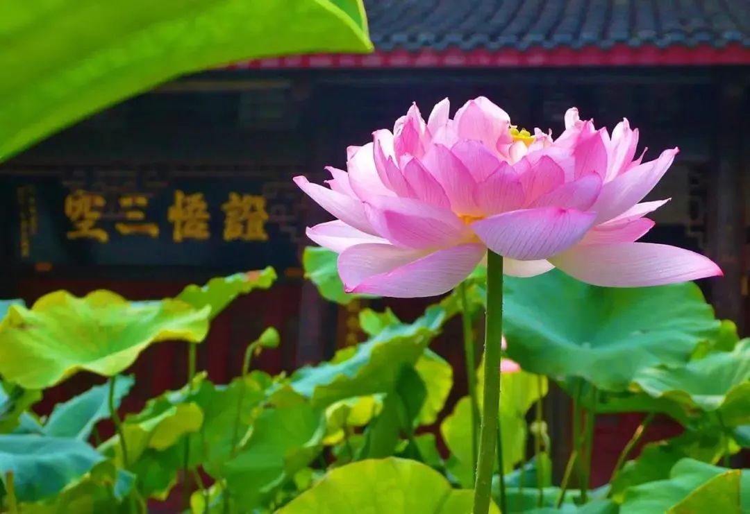 邪婬为什么严重的折福折禄又折寿？