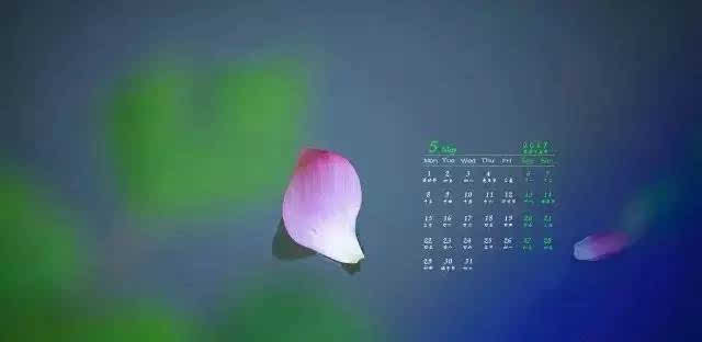 印光大师：行邪婬者，报终命尽，先堕地狱饿鬼，后生畜生道中