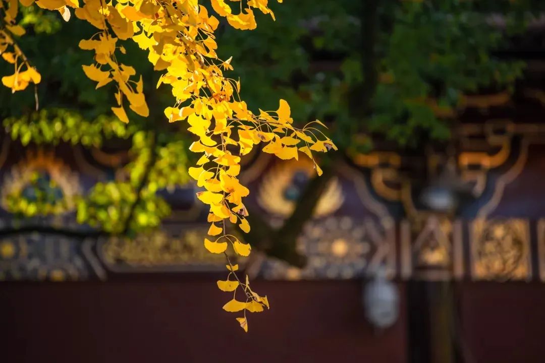 不孝让家里出了几个精神病