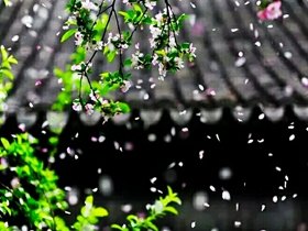 因破戒真实的触摸到死亡,愿以我的真实经历警醒众生