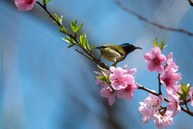 《从地狱到人间》--我成功戒婬的心路历程