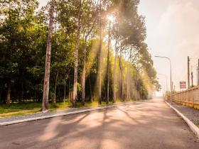 香港火灾中的奇迹：被困31楼的陈伯念“南无观世音菩萨”20小时奇迹生还！