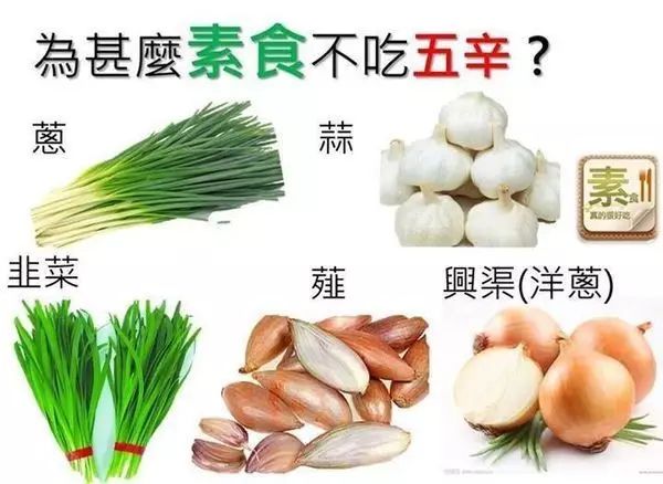 被宣告只剩6个月生命,她却多活了30年!看她如何战胜癌症! 被宣告只剩6个月生命,她却多活了30年!看她如何战胜癌症!
