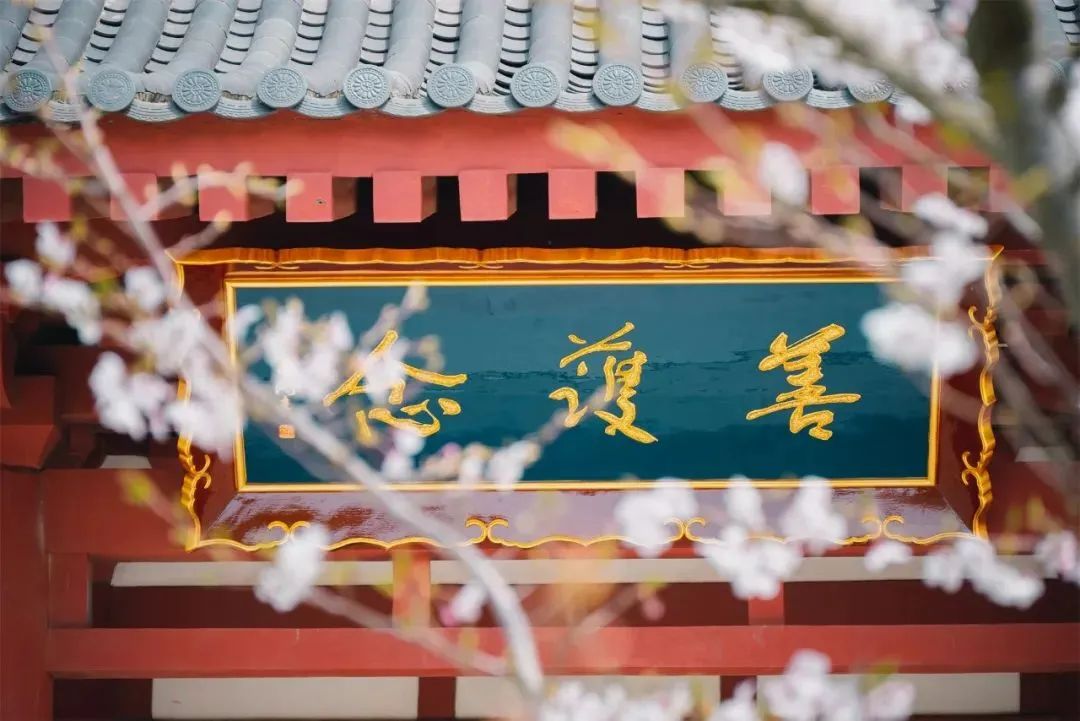 揭秘：性欲与智商寿命关系-图片2