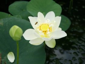 戒色快一年了，附上变化图^_^