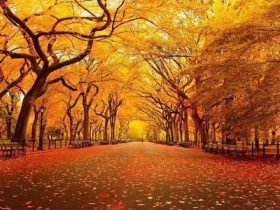 佛法是究竟的改命之道，易学算命术等并不究竟