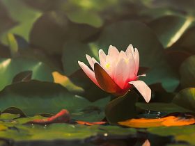 国内儿童色网站被曝光：斩断邪恶的黑手！