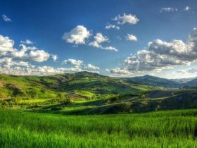 癌症末期，放生得救