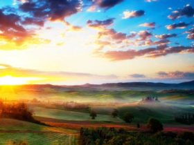 戒烟酒戒邪婬五年的真实感受——经典推荐