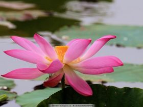 邪婬为什么严重的折福折禄又折寿？