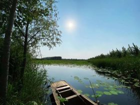 帅气逼人到丑的扎心