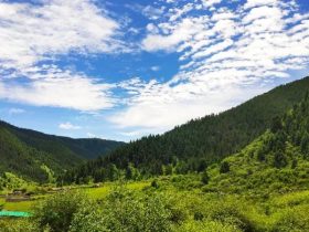 戒烟酒戒邪婬五年的真实感受——经典推荐