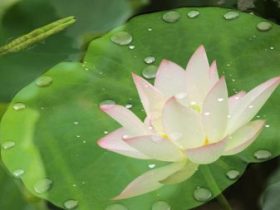 因破戒真实的触摸到死亡,愿以我的真实经历警醒众生