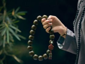 戒烟酒戒邪婬五年的真实感受——经典推荐