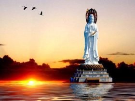 杀业有多苦？身边的杀生果报案例