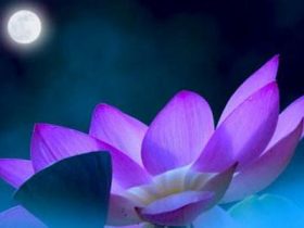 我只是没有手脚，有什么理由不微笑？当你觉得生命无意义时就看看他！