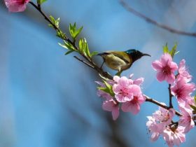 因破戒真实的触摸到死亡,愿以我的真实经历警醒众生