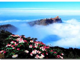 第123季：戒色快乐之道