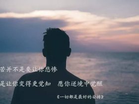 “天欲亡之，必先狂之”，表面风光，谁知道邪婬背后锥心的痛