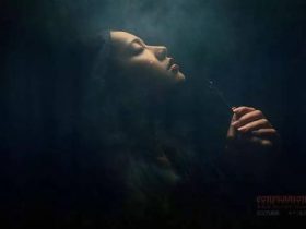 330天，猥琐变庄严