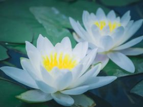 邪婬为什么严重的折福折禄又折寿？