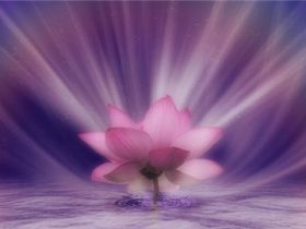 香港火灾中的奇迹：被困31楼的陈伯念“南无观世音菩萨”20小时奇迹生还！