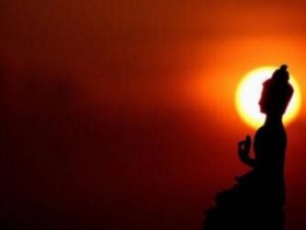 断断续续放生三年，我的真实故事