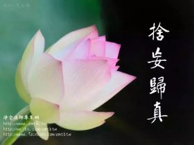 佛法是究竟的改命之道，易学算命术等并不究竟