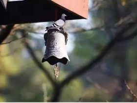 《从地狱到人间》--我成功戒婬的心路历程