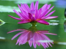 大礼拜让人脱胎换骨