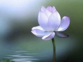 什么是爱情该有的模样？