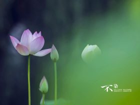 情天与恨海——婚外情的故事