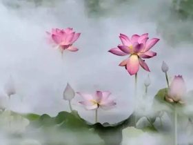 红杏出墙妻子谋杀身价千万丈夫