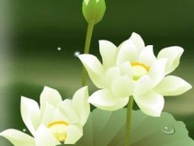 邪婬为什么严重的折福折禄又折寿？