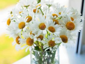 《从地狱到人间》--我成功戒婬的心路历程