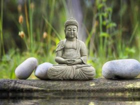 高僧开示：我慢山上，存不住功德水