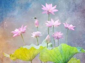 女子教育的重要