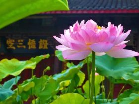 邪婬为什么严重的折福折禄又折寿？