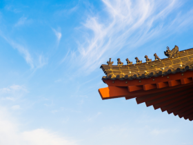 放生2000斤泥鳅命运马上转变