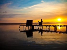 戒色一年，摆脱阳痿早泄、脱发、频遗，从此走向人生巅峰！