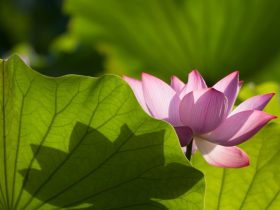 精曲和慢前恢复经历：一定要相信戒色，也要永远坚持戒色！