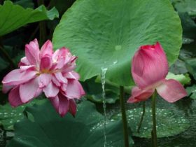 戒烟酒戒邪婬五年的真实感受——经典推荐