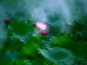 邪婬是漏福，痛苦的根